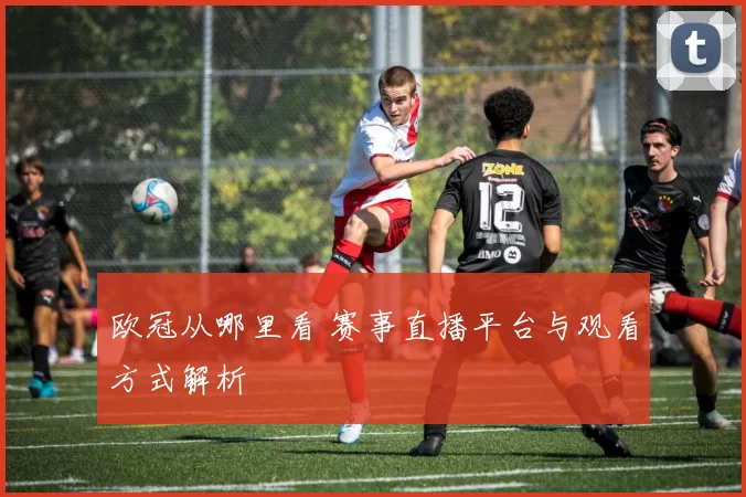 欧冠从哪里看 赛事直播平台与观看方式解析