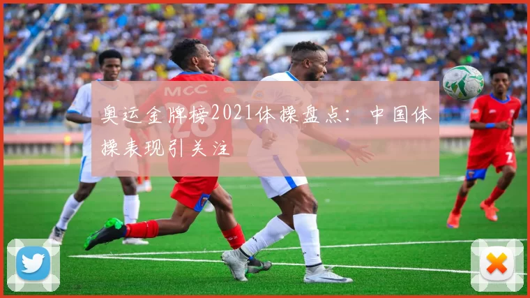 奥运金牌榜2021体操盘点:中国体操表现引关注