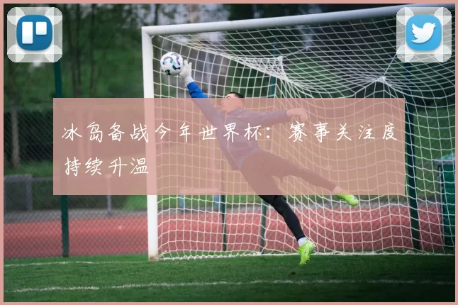冰岛备战今年世界杯：赛事关注度持续升温