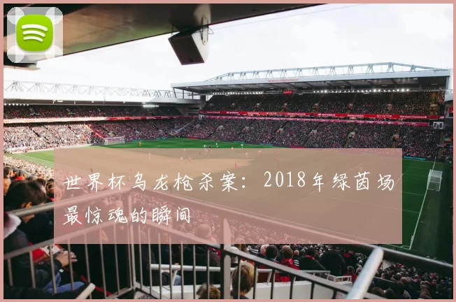 世界杯乌龙枪杀案:2018年绿茵场最惊魂的瞬间