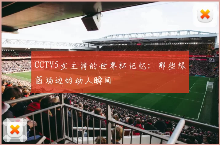 CCTV5女主持的世界杯记忆:那些绿茵场边的动人瞬间