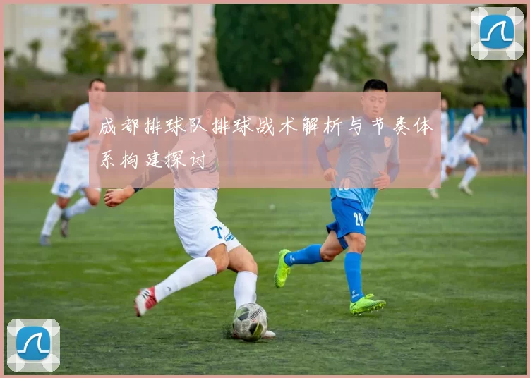 成都排球队排球战术解析与节奏体系构建探讨