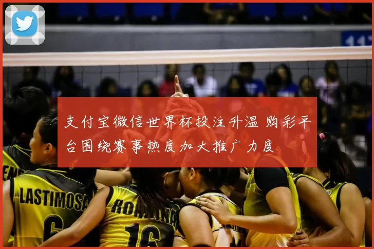 支付宝微信世界杯投注升温 购彩平台围绕赛事热度加大推广力度