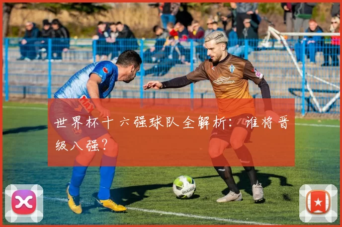 世界杯十六强球队全解析:谁将晋级八强?