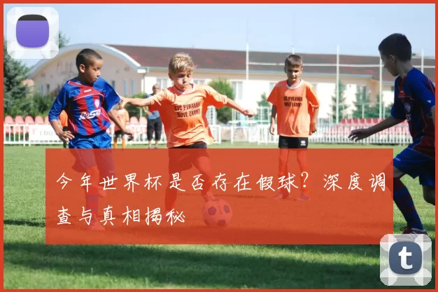 今年世界杯是否存在假球?深度调查与真相揭秘
