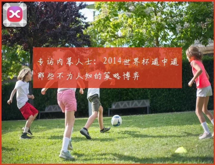 专访内幕人士:2014世界杯道中道那些不为人知的策略博弈