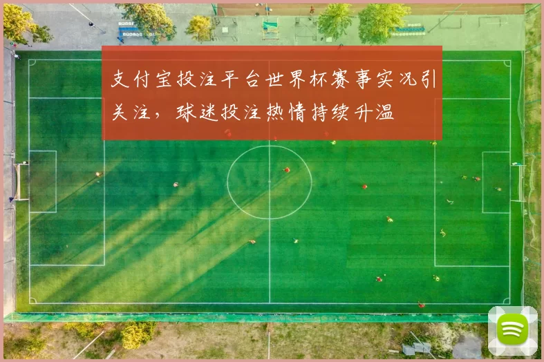 支付宝投注平台世界杯赛事实况引关注,球迷投注热情持续升温