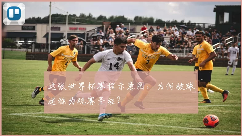 这张世界杯赛程示意图,为何被球迷称为观赛圣经?