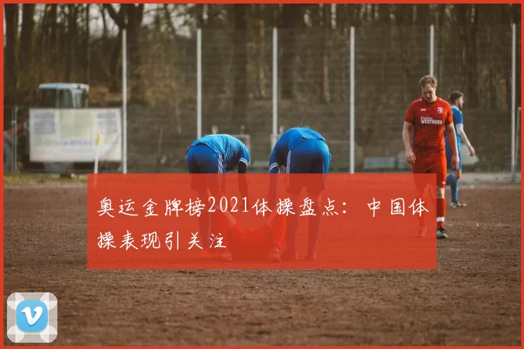 奥运金牌榜2021体操盘点：中国体操表现引关注